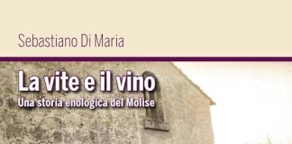 la vite e il vino libro
