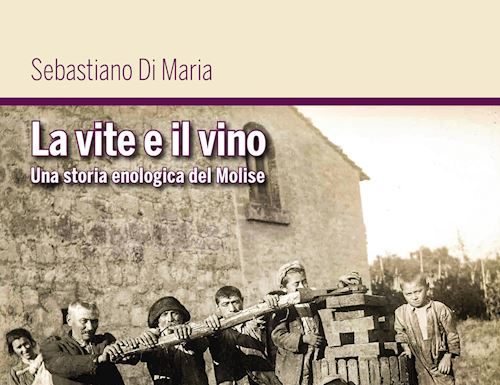 la vite e il vino libro