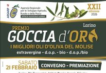 locandina goccia d'oro 2026