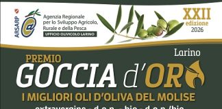 locandina goccia d'oro 2026