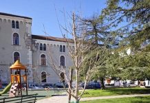 nuovi alberi campobasso