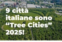 9 città tree cities