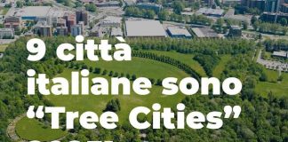 9 città tree cities