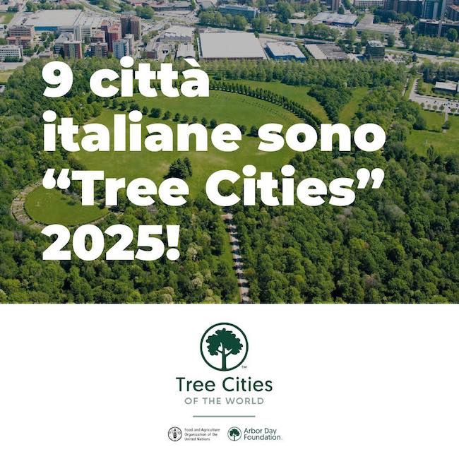 9 città tree cities
