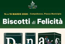 biscotti di felicità campobasso