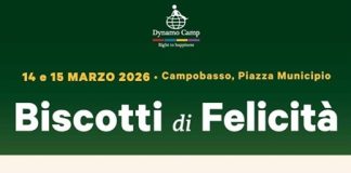 biscotti di felicità campobasso
