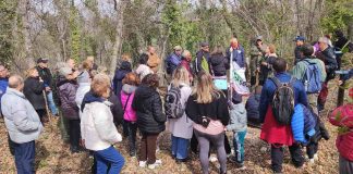 il tempo donato alla natura