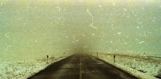 lello muzio copertina