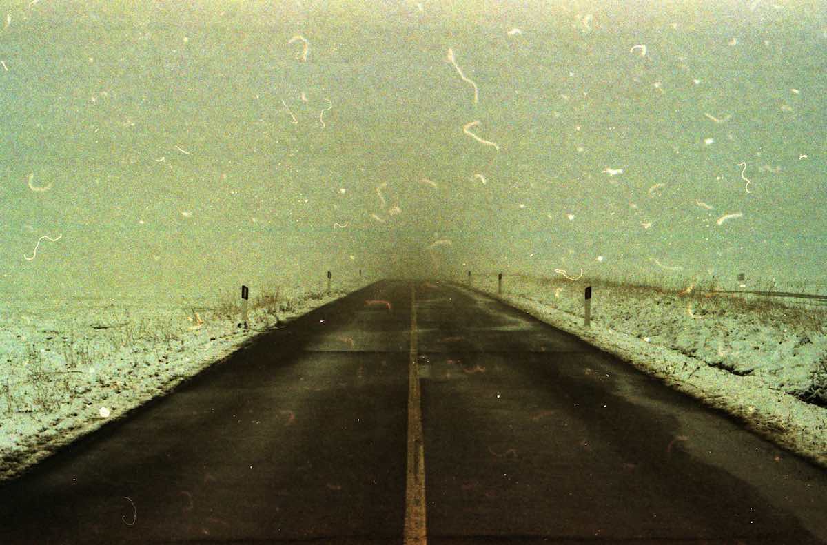 lello muzio copertina