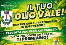 pietracatella il tuo olio vale