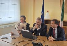 presentazione dog friendly hospital