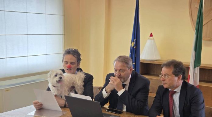 presentazione dog friendly hospital