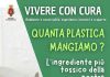 quanta plastica mangiamo