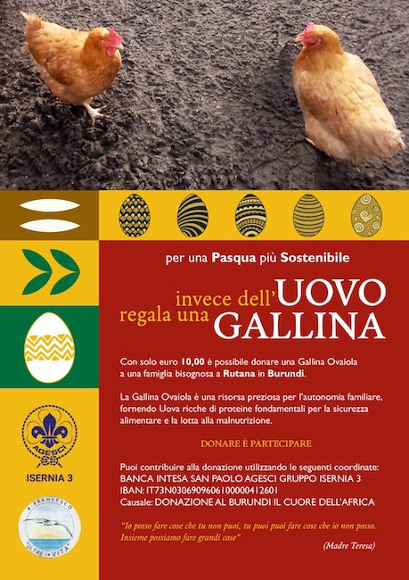 regala una gallina