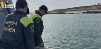 sequestro ricci di mare termoli