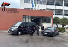 servizio alberghiero cinofili