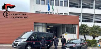 servizio alberghiero cinofili