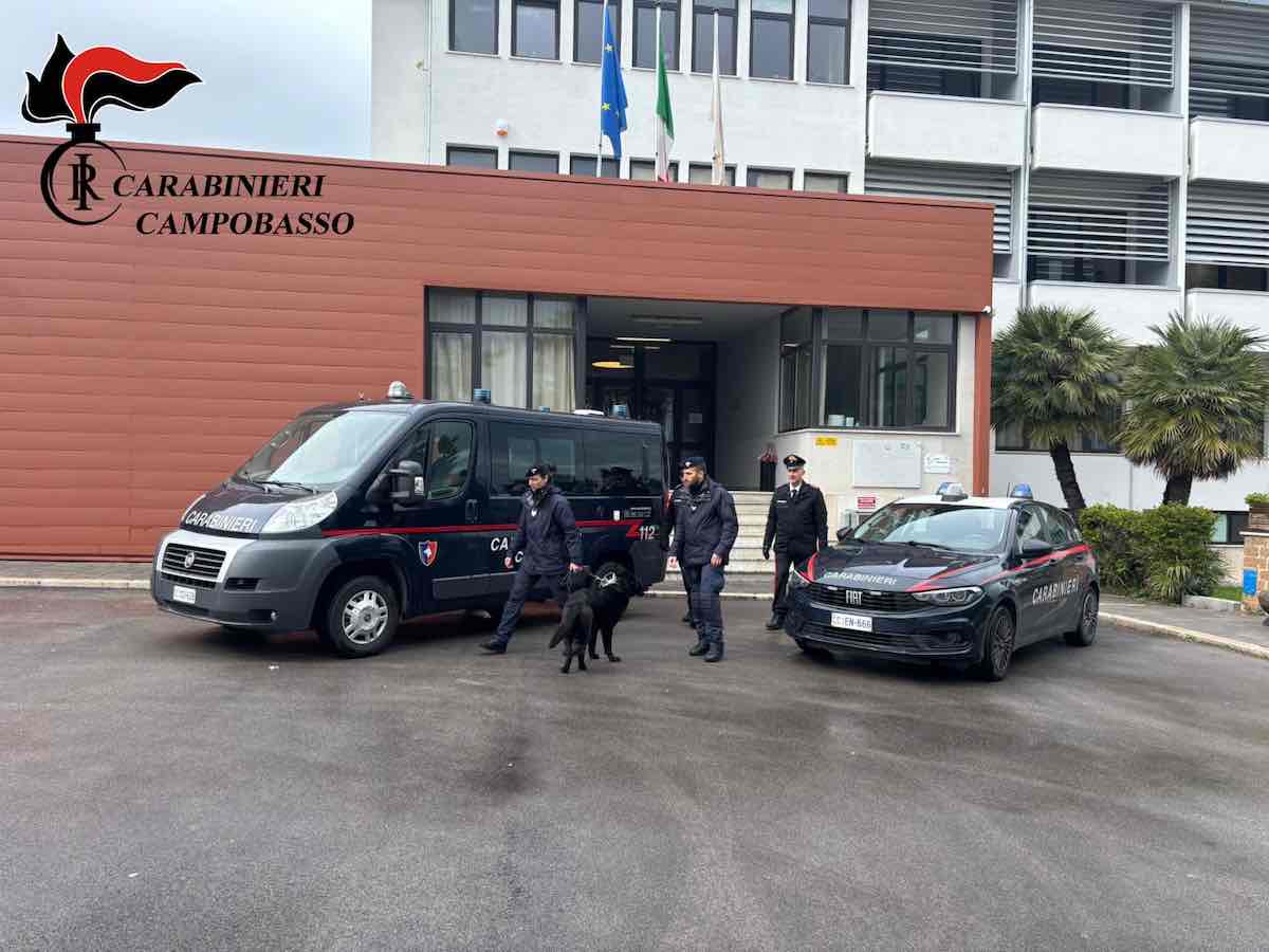 servizio alberghiero cinofili