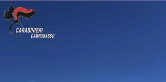 Sicurezza sulle piste di Campitello Matese: stagione invernale verso la chiusura, bilancio positivo per i Carabinieri sciatori sicurezza piste campitello matese