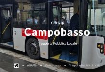trasporto pubblico locale campobasso