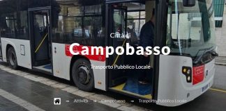 trasporto pubblico locale campobasso