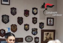 violenza in famiglia