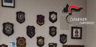 violenza in famiglia