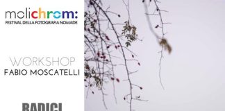 workshop fabio moscatelli