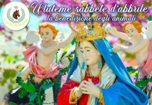 Festa Madonna Incoronata