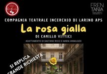 La rosa gialla