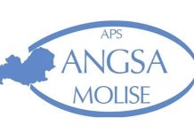 angsa molise aps logo