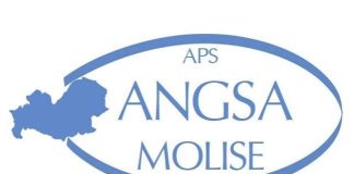 angsa molise aps logo