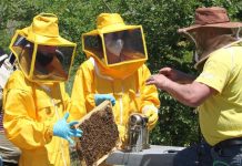 A Roccavivara nasce una nuova generazione di apicoltori: al via il corso dell’Apiario di Comunità apicoltura