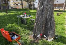 attività rischio arboreo termoli