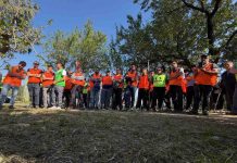 campionato potatura dell'olivo