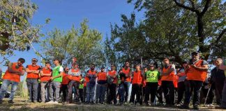 campionato potatura dell'olivo