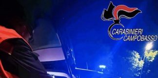 carabinieri campobasso