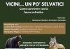 convegno wwf 11 aprile 2026
