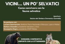 convegno wwf 11 aprile 2026