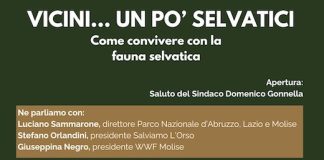 convegno wwf 11 aprile 2026