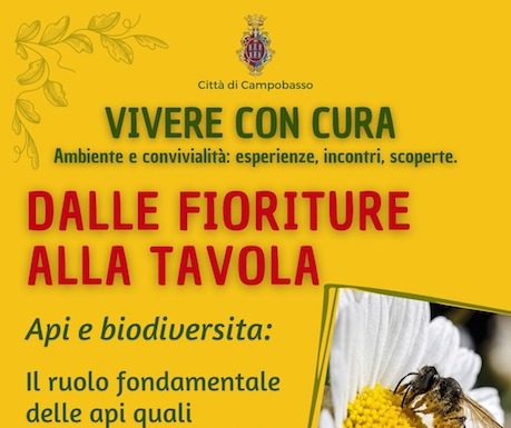 Eventi Molise del 15 aprile 2026: gli appuntamenti del giorno