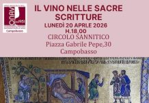 il vino nelle sacre scritture