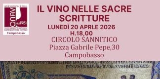 il vino nelle sacre scritture