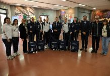 le farfalle all'arena