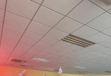 Arte e scuola unite a Termoli per dire no alla violenza sulle donne liberaluna scuola