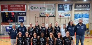 magnolia a senigallia