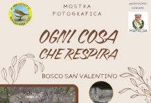 Poster Mostra Fotografia Mafalda