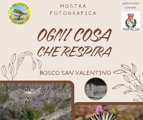 Eventi Molise del 7 aprile 2026: mostre in primo piano Poster Mostra Fotografia Mafalda