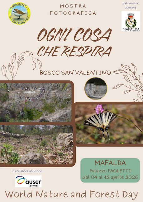 Poster Mostra Fotografia Mafalda