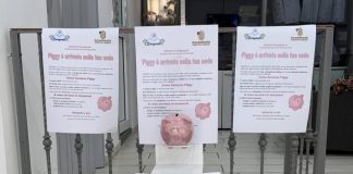 progetto piggy accademia